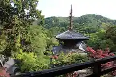 一乗寺の建物その他