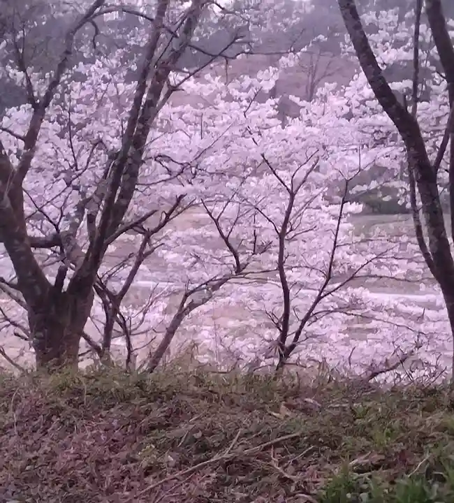 春日神社(宮沢)(宮城県)