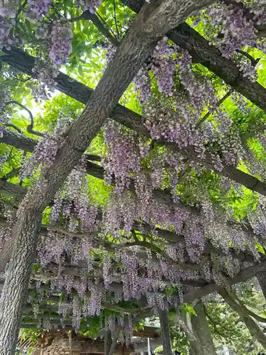 山神社(宮城県)