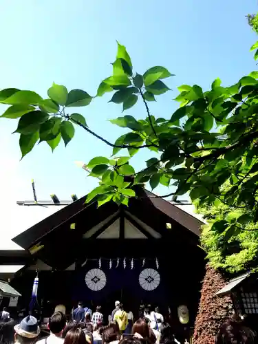 東京大神宮(東京都)