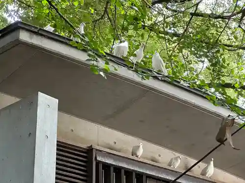 靖國神社(東京都)