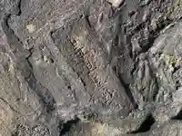 阿弥陀堂のお墓