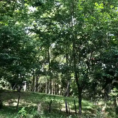 山之神神社(埼玉県)