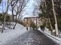 北海道神宮の鳥居