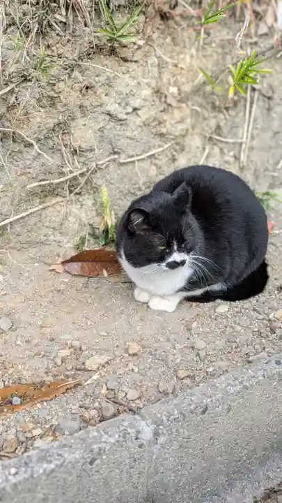 荒木神社(京都府)