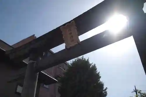 代田神社の鳥居