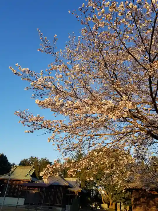 伏木香取神社のその他建物