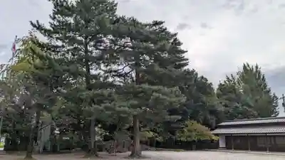 富山縣護國神社の自然