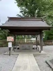 師岡熊野神社の手水