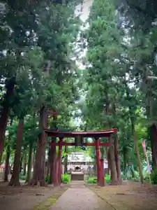 飯笠山神社(長野県)(2022年07月19日(火) 09時57分25秒投稿)