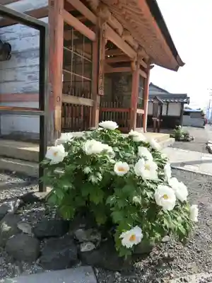 総持寺の山門・神門