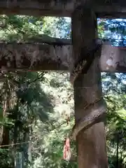 白水阿蘇神社の鳥居