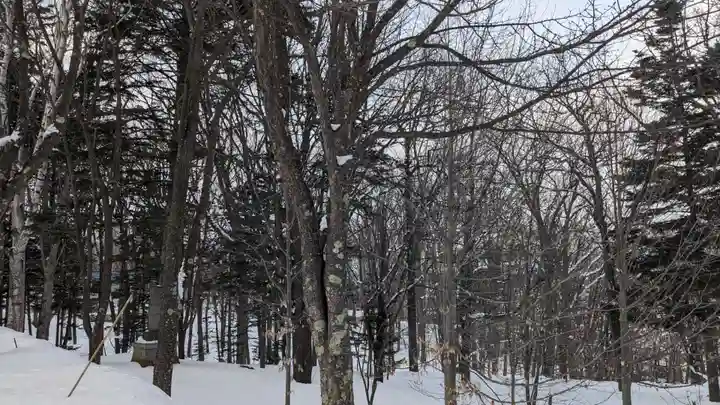神居神社の自然