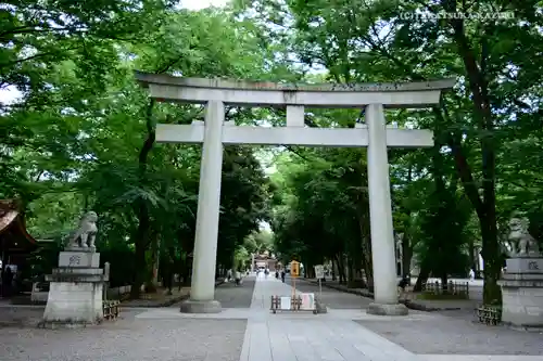 大國魂神社の鳥居