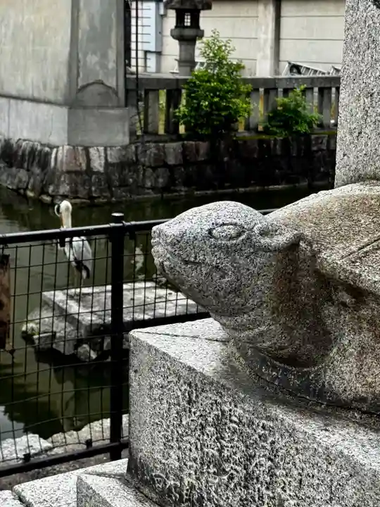 東寺(教王護国寺)の動物