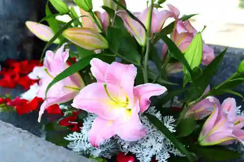 三津厳島神社の手水舎