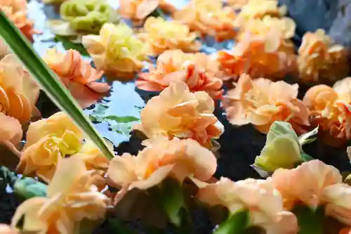 三津厳島神社の手水舎