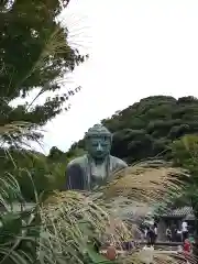 高徳院(神奈川県)