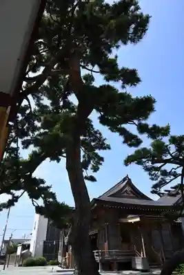 七郷神社(宮城県)