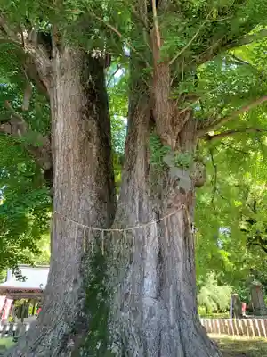 鑁阿寺(栃木県)