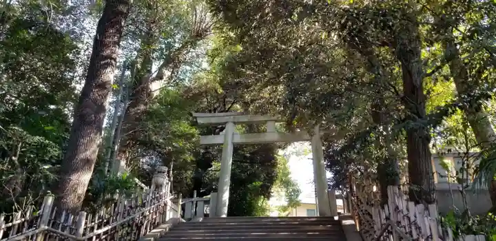 渋谷氷川神社の鳥居
