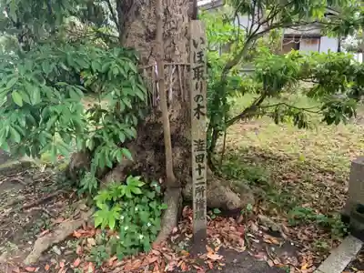 十二所大権現の自然