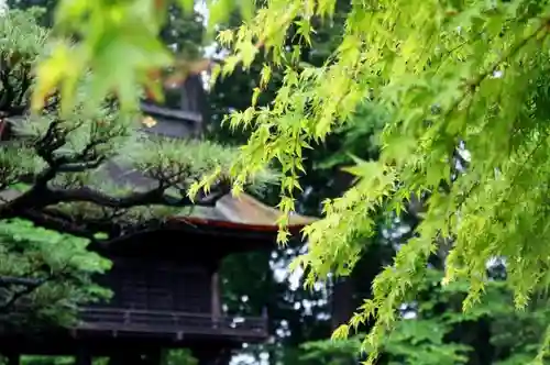 恵林寺の庭園