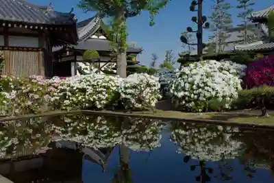 法雲寺のその他建物