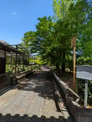 乙訓寺(京都府)