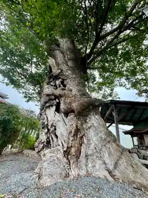 蔵林寺(京都府)