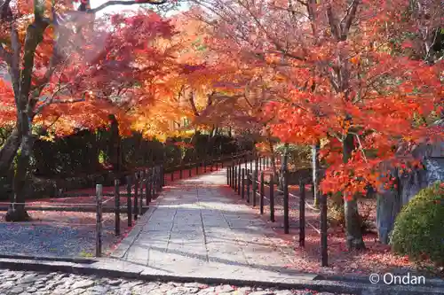 光明寺（粟生光明寺）(京都府)