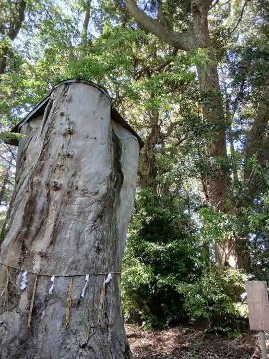八幡社の{uncategorized: "未分類", other: "その他", undefined: "問題あり", building: "その他建物", grave: "お墓", sacred_gate: "鳥居", guardian: "狛犬", statue: "像", buddha: "仏像", history: "歴史", nature: "自然", garden: "庭園", animal: "動物", pagoda: "塔", temizu: "手水舎", mountain_gate: "山門・神門", sanctuary: "本殿・本堂", subordinate: "末社・摂社", art: "芸術", scenery: "景色", jizo: "地蔵", ema: "絵馬", goshuin: "御朱印", omikuji: "おみくじ", items: "授与品その他", amulet: "お守り", goshuincho: "御朱印帳", eats: "食事", festival: "お祭り", votive_dance: "神楽", shichigosan: "七五三参", wedding: "結婚式", experience: "体験その他", initially: "初詣", around: "周辺", anti_infection: "感染症対策"}