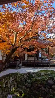 興聖寺(京都府)