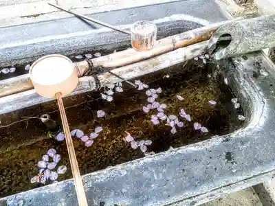 光照院の手水舎