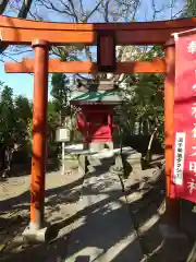 亀岡八幡宮（亀岡八幡神社）(神奈川県)