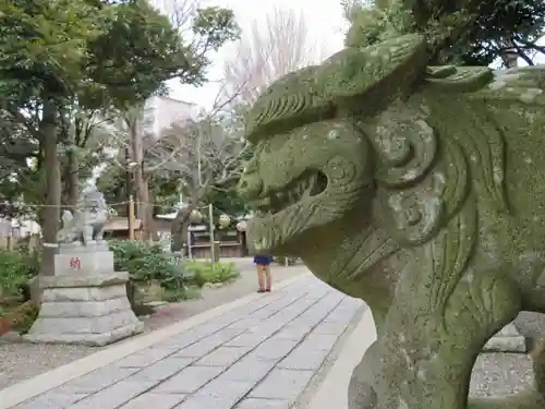 菊田神社の狛犬