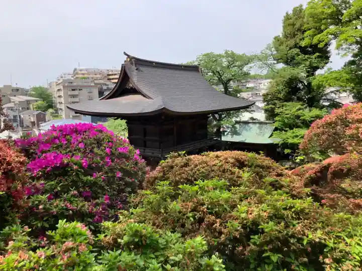 等覚院(神奈川県)