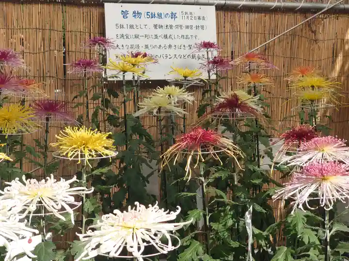 蓮池弁財天社(神奈川県)