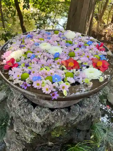 武蔵一宮氷川神社(埼玉県)