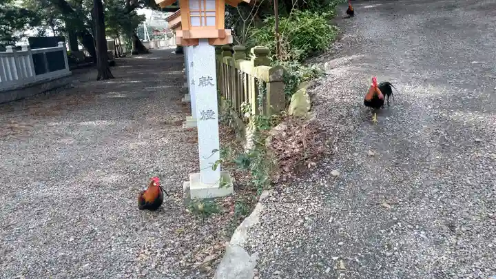 大甕神社(茨城県)