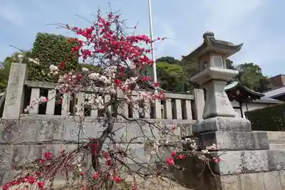 鶴羽根神社(広島県)