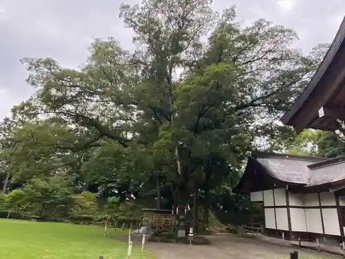 武田神社の庭園