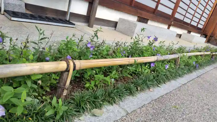 晴明神社(京都府)