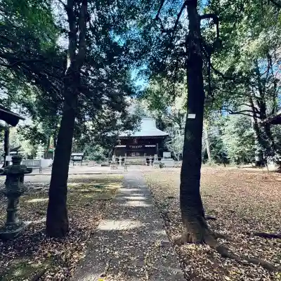 鳩峯八幡神社(埼玉県)
