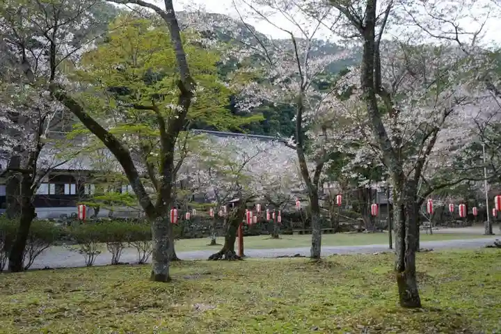 大寧寺(山口県)