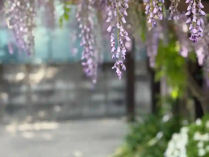 西方山極楽寺(岐阜県)