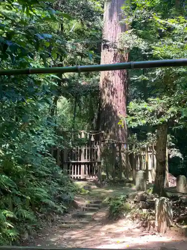 八重垣神社(島根県)