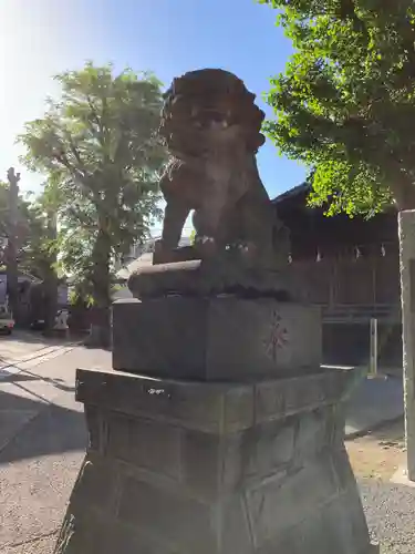 滝野川八幡神社の狛犬
