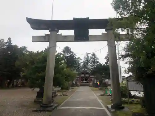 新川神社の鳥居