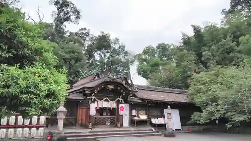 平野神社の本殿・本堂